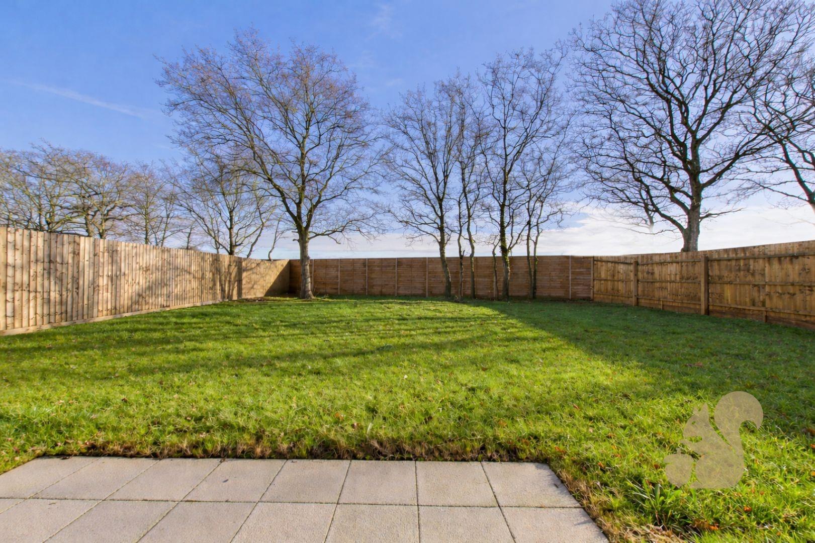 8 Field Mews - Garden.jpg